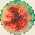 The Rainbow Zen Warrior