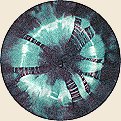 Purple & Teal on White