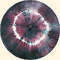 Twillite Blue & Fuschia on White